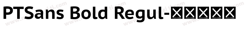 PTSans Bold Regul字体转换